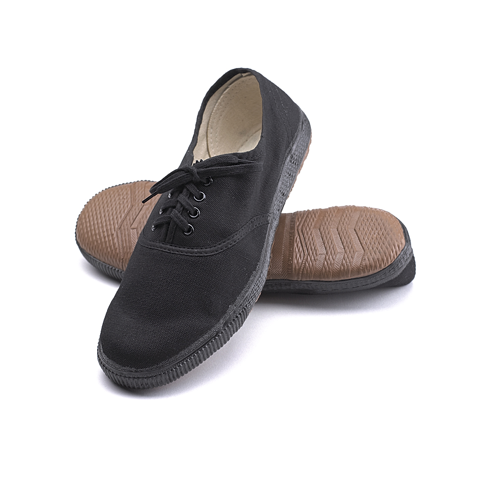 kung fu shoe